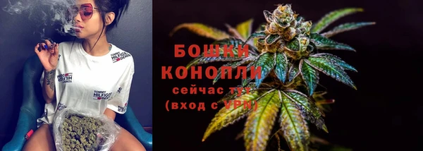 мет Арсеньев