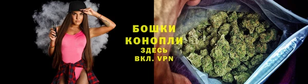 мет Арсеньев