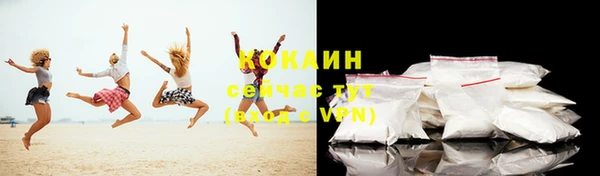 шишки Армянск