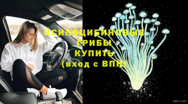 мет Арсеньев