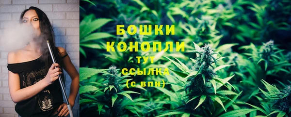 шишки Армянск