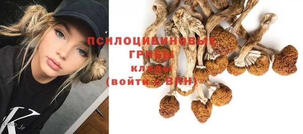 мет Арсеньев
