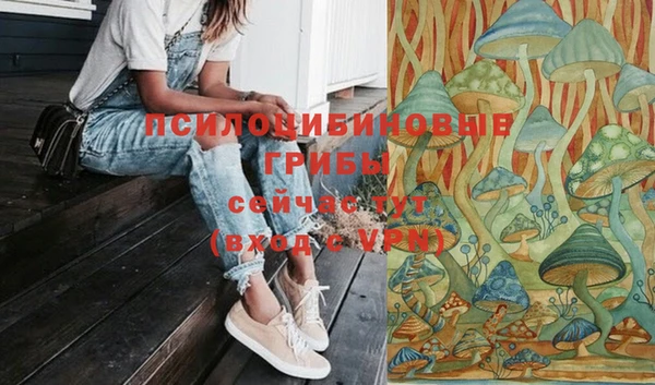 шишки Армянск